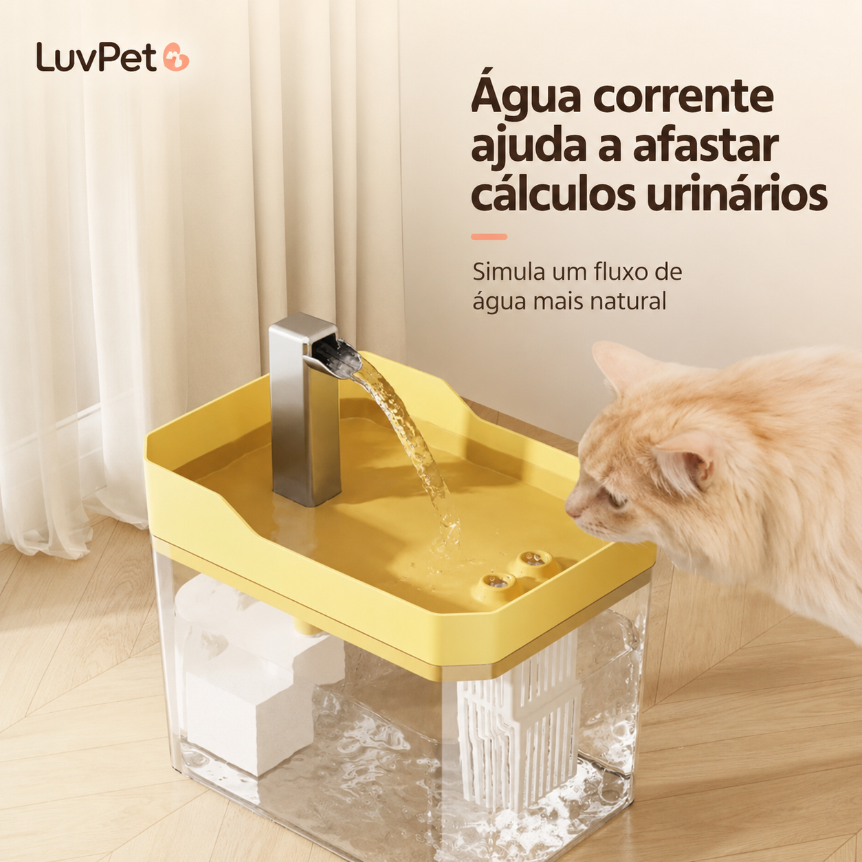 Fonte Bebedouro Automático USB para Gatos com Filtro