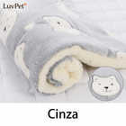 Cinza