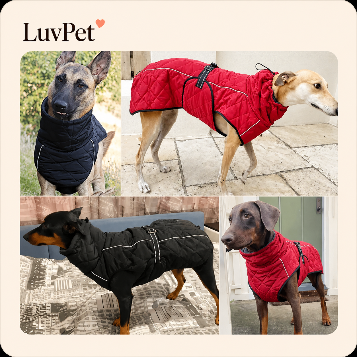 Jaqueta Pet Impermeável e Refletiva para Cães