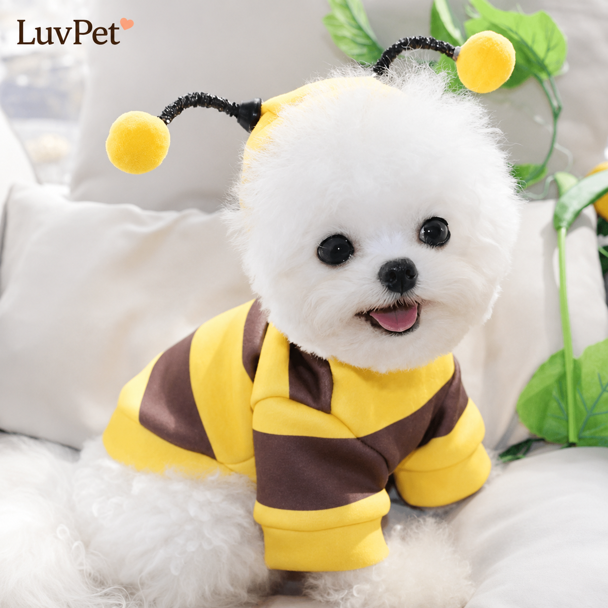Roupa Pet de Abelhinha
