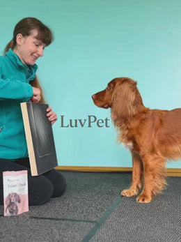 Lixa Interativa para Unhas de Cães com Compartimento para Petiscos