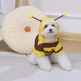 Roupa Pet de Abelhinha