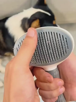 Escova Pet Autolimpante para Remoção de Pelos de Cães e Gatos